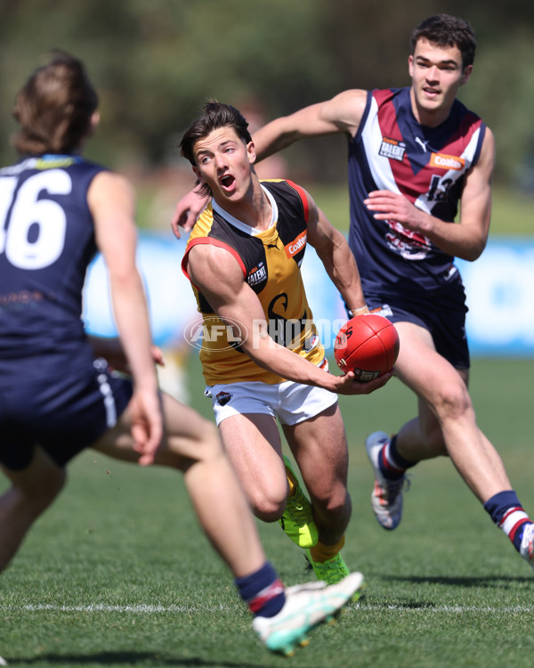 Coates League Boys 2024 First Preliminary Final - Sandringham v Dandenong - A-54083432