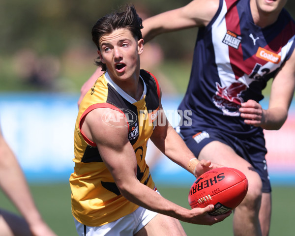 Coates League Boys 2024 First Preliminary Final - Sandringham v Dandenong - A-54083433