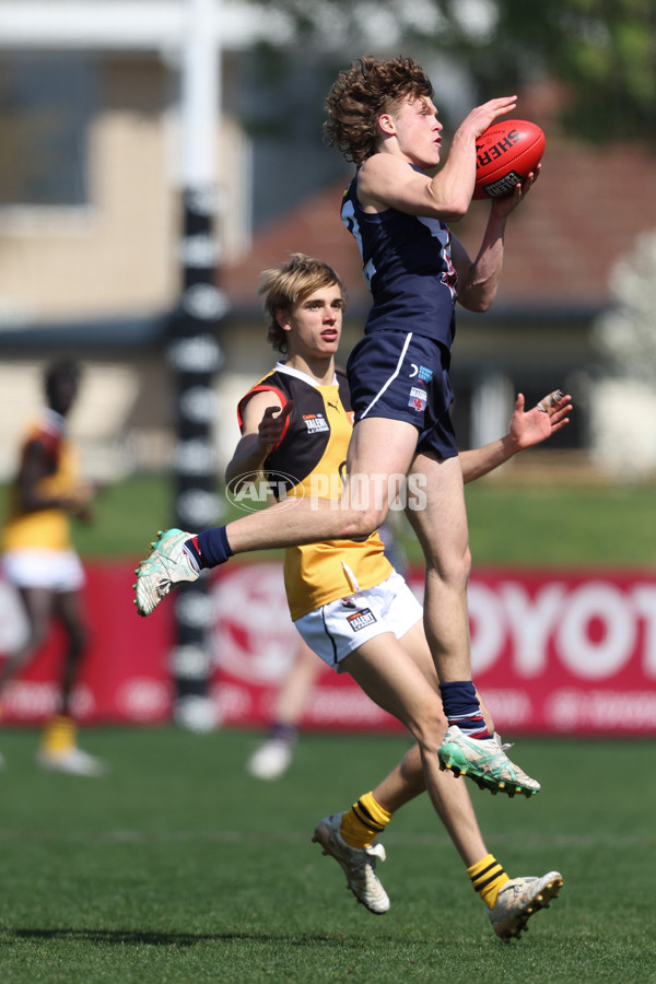 Coates League Boys 2024 First Preliminary Final - Sandringham v Dandenong - A-54083434