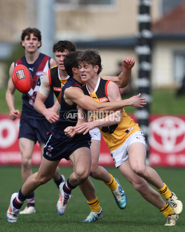 Coates League Boys 2024 First Preliminary Final - Sandringham v Dandenong - A-54083435