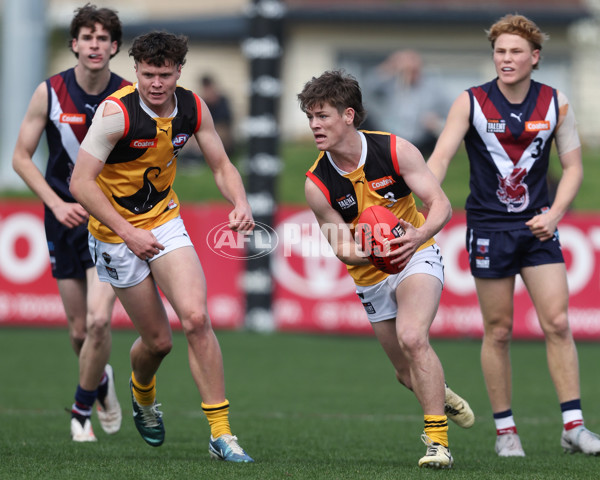 Coates League Boys 2024 First Preliminary Final - Sandringham v Dandenong - A-54083456