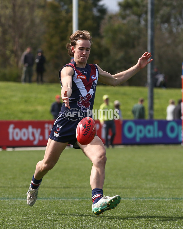 Coates League Boys 2024 First Preliminary Final - Sandringham v Dandenong - A-54083458