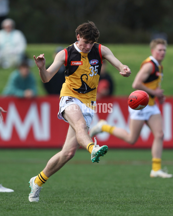 Coates League Boys 2024 First Preliminary Final - Sandringham v Dandenong - A-54083460