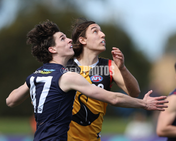 Coates League Boys 2024 First Preliminary Final - Sandringham v Dandenong - A-54083461