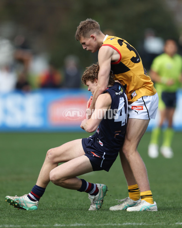 Coates League Boys 2024 First Preliminary Final - Sandringham v Dandenong - A-54083464