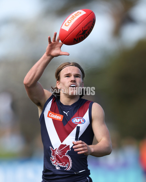 Coates League Boys 2024 First Preliminary Final - Sandringham v Dandenong - A-54083475