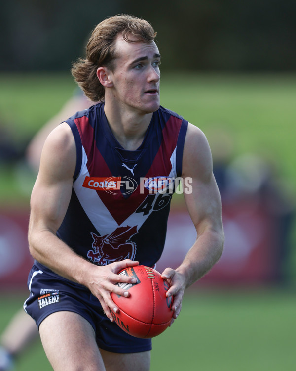 Coates League Boys 2024 First Preliminary Final - Sandringham v Dandenong - A-54083476