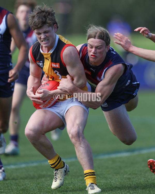 Coates League Boys 2024 First Preliminary Final - Sandringham v Dandenong - A-54083477