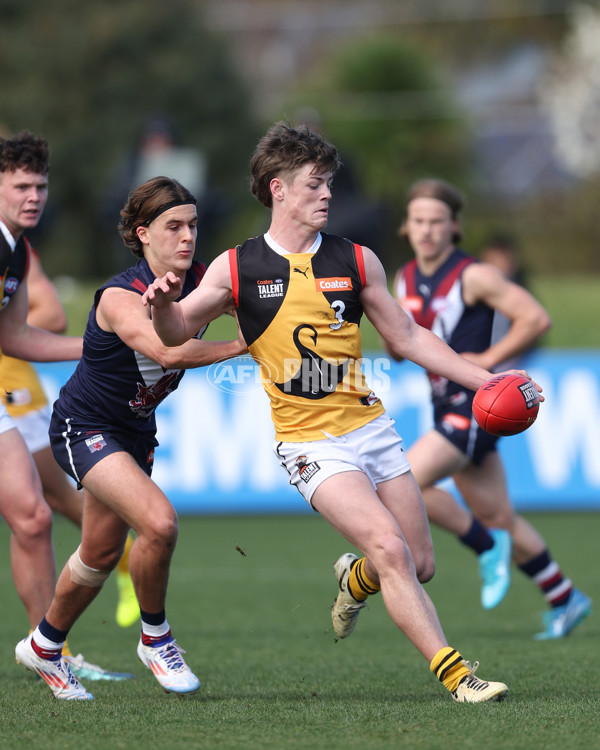 Coates League Boys 2024 First Preliminary Final - Sandringham v Dandenong - A-54083478