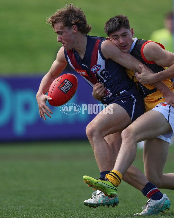 Coates League Boys 2024 First Preliminary Final - Sandringham v Dandenong - A-54083479