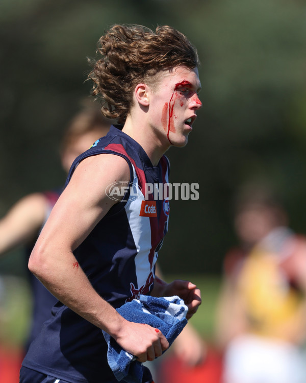 Coates League Boys 2024 First Preliminary Final - Sandringham v Dandenong - A-54083907