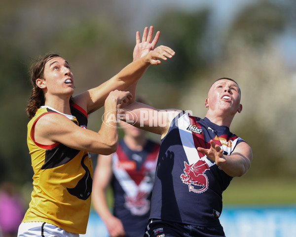 Coates League Boys 2024 First Preliminary Final - Sandringham v Dandenong - A-54083913