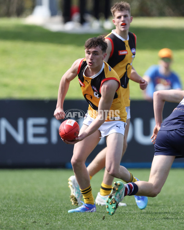 Coates League Boys 2024 First Preliminary Final - Sandringham v Dandenong - A-54083914