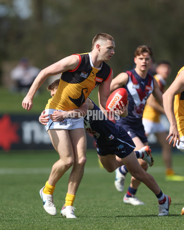 Coates League Boys 2024 First Preliminary Final - Sandringham v Dandenong - A-54083916