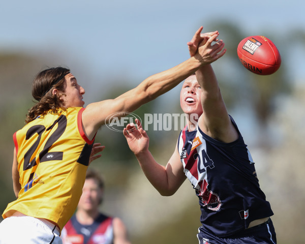 Coates League Boys 2024 First Preliminary Final - Sandringham v Dandenong - A-54083917