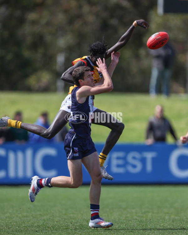 Coates League Boys 2024 First Preliminary Final - Sandringham v Dandenong - A-54083918