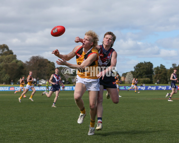 Coates League Boys 2024 First Preliminary Final - Sandringham v Dandenong - A-54083919