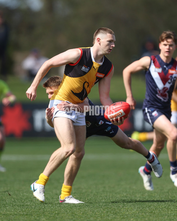 Coates League Boys 2024 First Preliminary Final - Sandringham v Dandenong - A-54083920