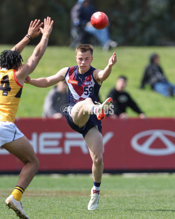 Coates League Boys 2024 First Preliminary Final - Sandringham v Dandenong - A-54083929