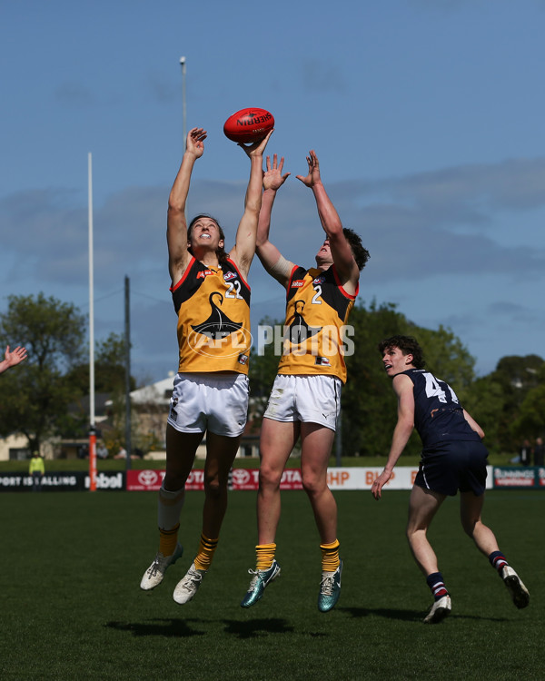 Coates League Boys 2024 First Preliminary Final - Sandringham v Dandenong - A-54083968