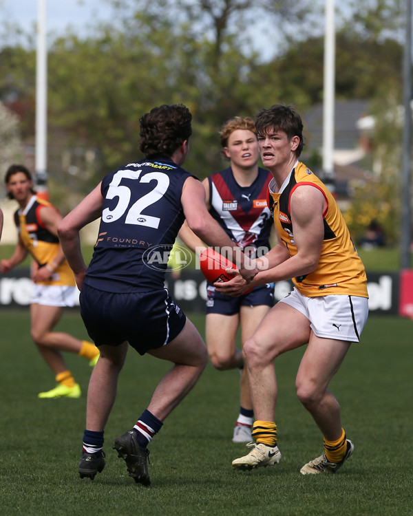 Coates League Boys 2024 First Preliminary Final - Sandringham v Dandenong - A-54085906