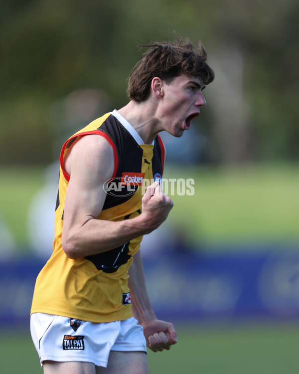 Coates League Boys 2024 First Preliminary Final - Sandringham v Dandenong - A-54085907