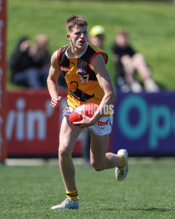 Coates League Boys 2024 First Preliminary Final - Sandringham v Dandenong - A-54085912