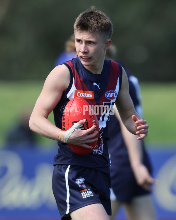 Coates League Boys 2024 First Preliminary Final - Sandringham v Dandenong - A-54085916