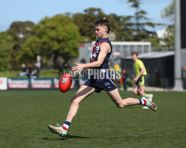 Coates League Boys 2024 First Preliminary Final - Sandringham v Dandenong - A-54085922