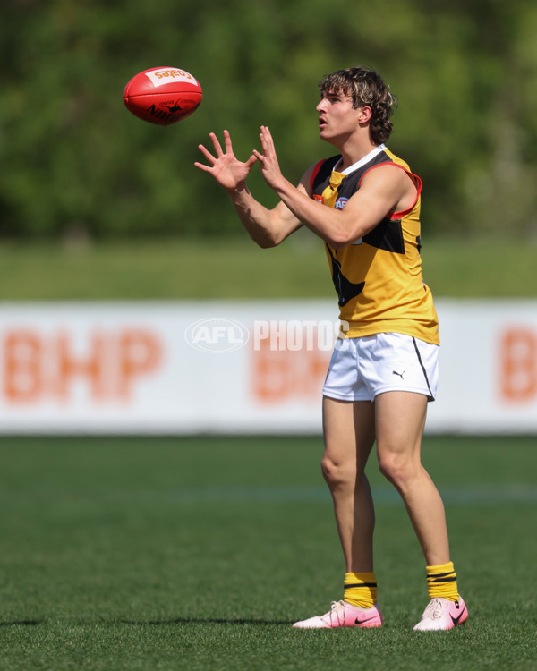 Coates League Boys 2024 First Preliminary Final - Sandringham v Dandenong - A-54085923