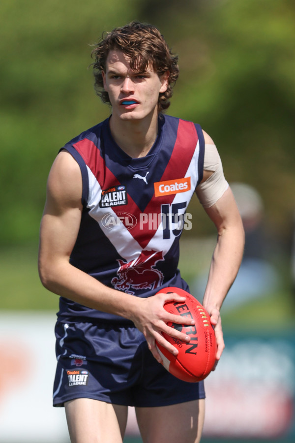 Coates League Boys 2024 First Preliminary Final - Sandringham v Dandenong - A-54085924