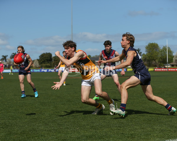 Coates League Boys 2024 First Preliminary Final - Sandringham v Dandenong - A-54085925