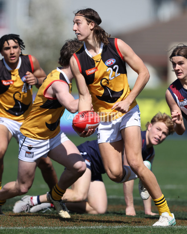 Coates League Boys 2024 First Preliminary Final - Sandringham v Dandenong - A-54085928