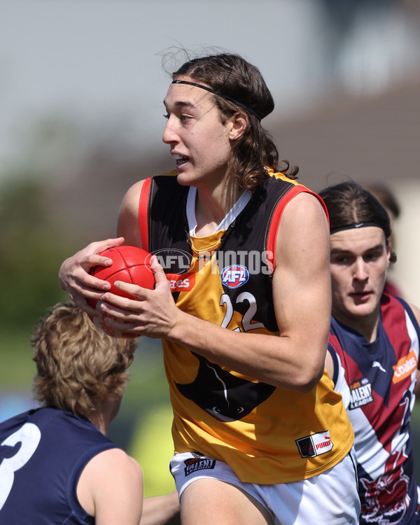 Coates League Boys 2024 First Preliminary Final - Sandringham v Dandenong - A-54085930