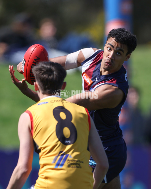 Coates League Boys 2024 First Preliminary Final - Sandringham v Dandenong - A-54085931