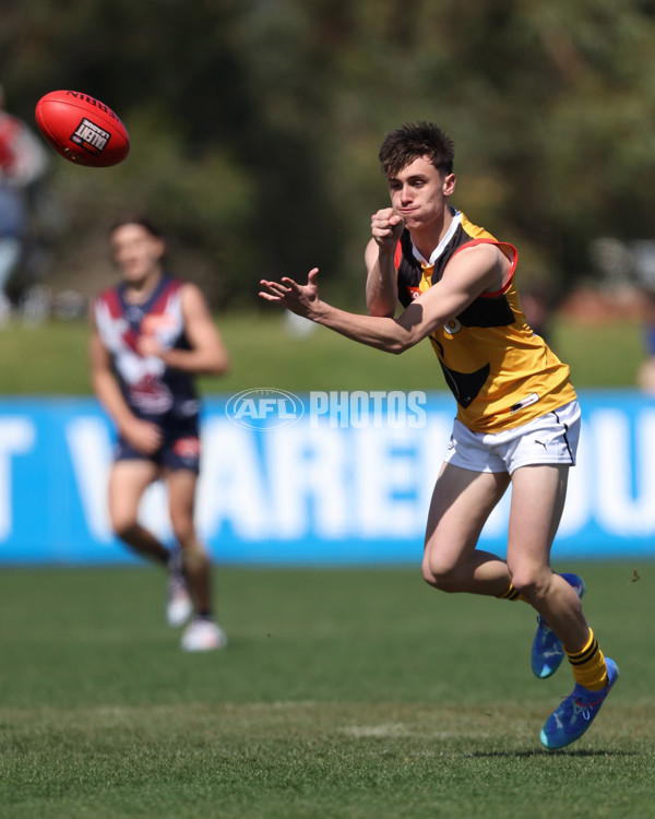 Coates League Boys 2024 First Preliminary Final - Sandringham v Dandenong - A-54085933