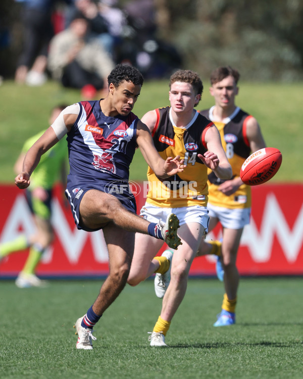 Coates League Boys 2024 First Preliminary Final - Sandringham v Dandenong - A-54085934