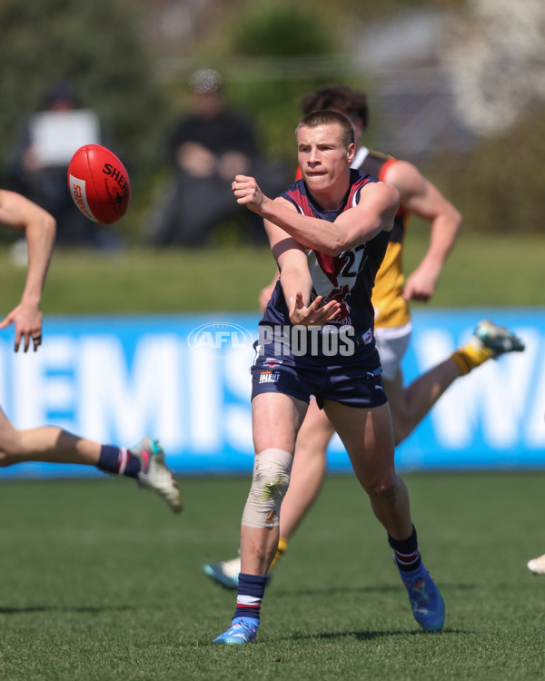 Coates League Boys 2024 First Preliminary Final - Sandringham v Dandenong - A-54085935