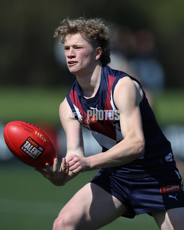 Coates League Boys 2024 First Preliminary Final - Sandringham v Dandenong - A-54085936