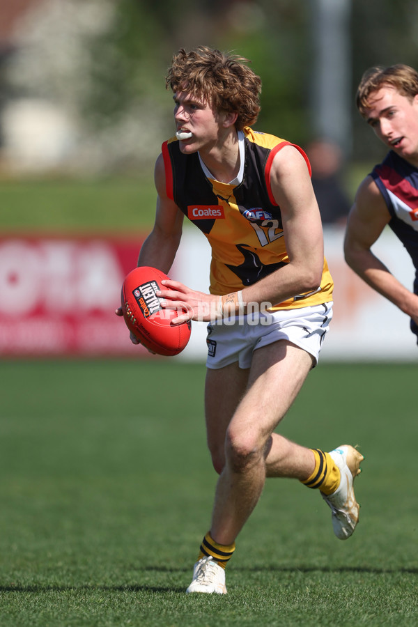 Coates League Boys 2024 First Preliminary Final - Sandringham v Dandenong - A-54085938