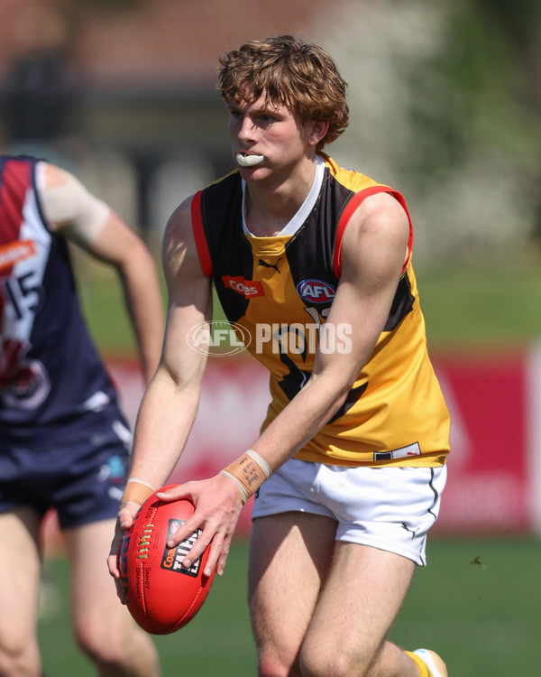 Coates League Boys 2024 First Preliminary Final - Sandringham v Dandenong - A-54085939