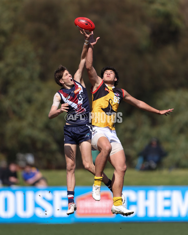 Coates League Boys 2024 First Preliminary Final - Sandringham v Dandenong - A-54085941