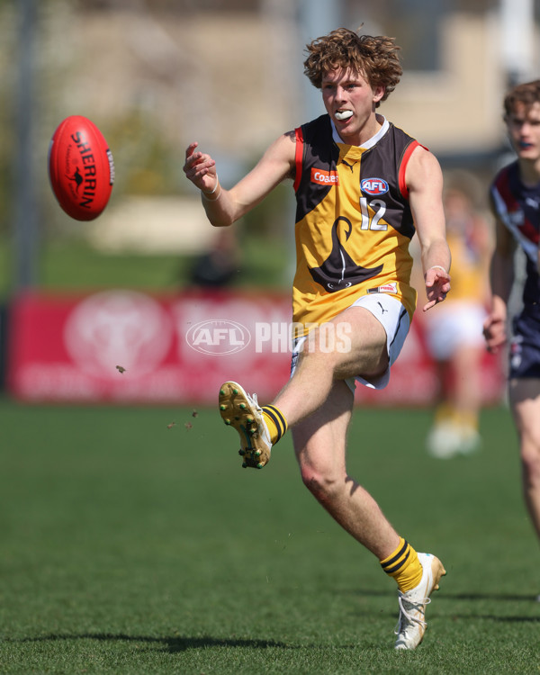 Coates League Boys 2024 First Preliminary Final - Sandringham v Dandenong - A-54085948