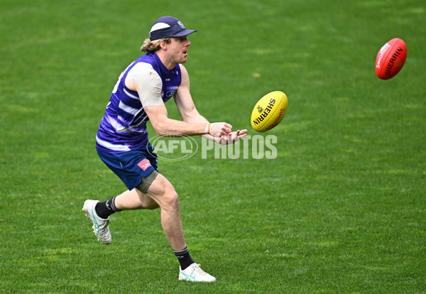 AFL 2024 Training - Geelong 160924 - A-54085985