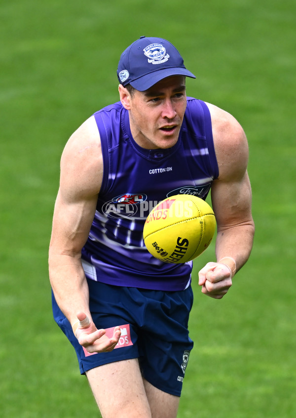 AFL 2024 Training - Geelong 160924 - A-54085986