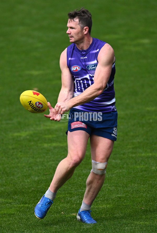 AFL 2024 Training - Geelong 160924 - A-54085997