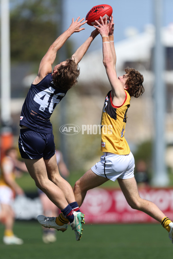 Coates League Boys 2024 First Preliminary Final - Sandringham v Dandenong - A-54086818