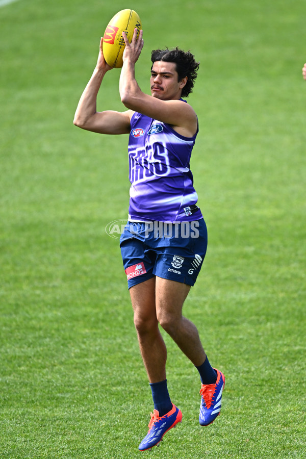 AFL 2024 Training - Geelong 160924 - A-54086835