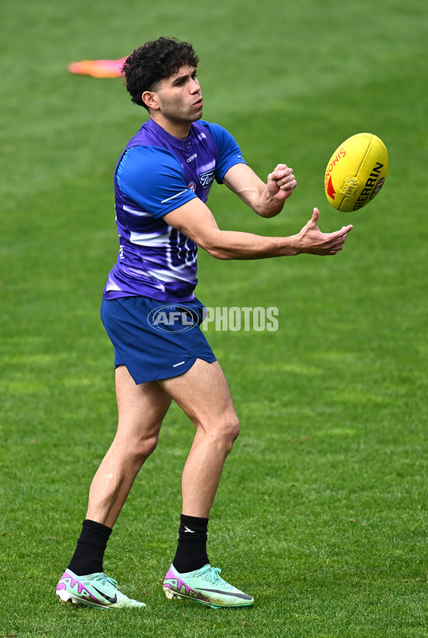 AFL 2024 Training - Geelong 160924 - A-54086847