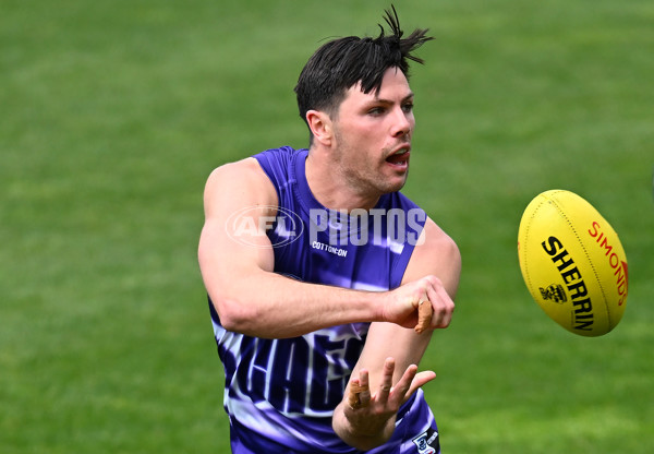 AFL 2024 Training - Geelong 160924 - A-54086848